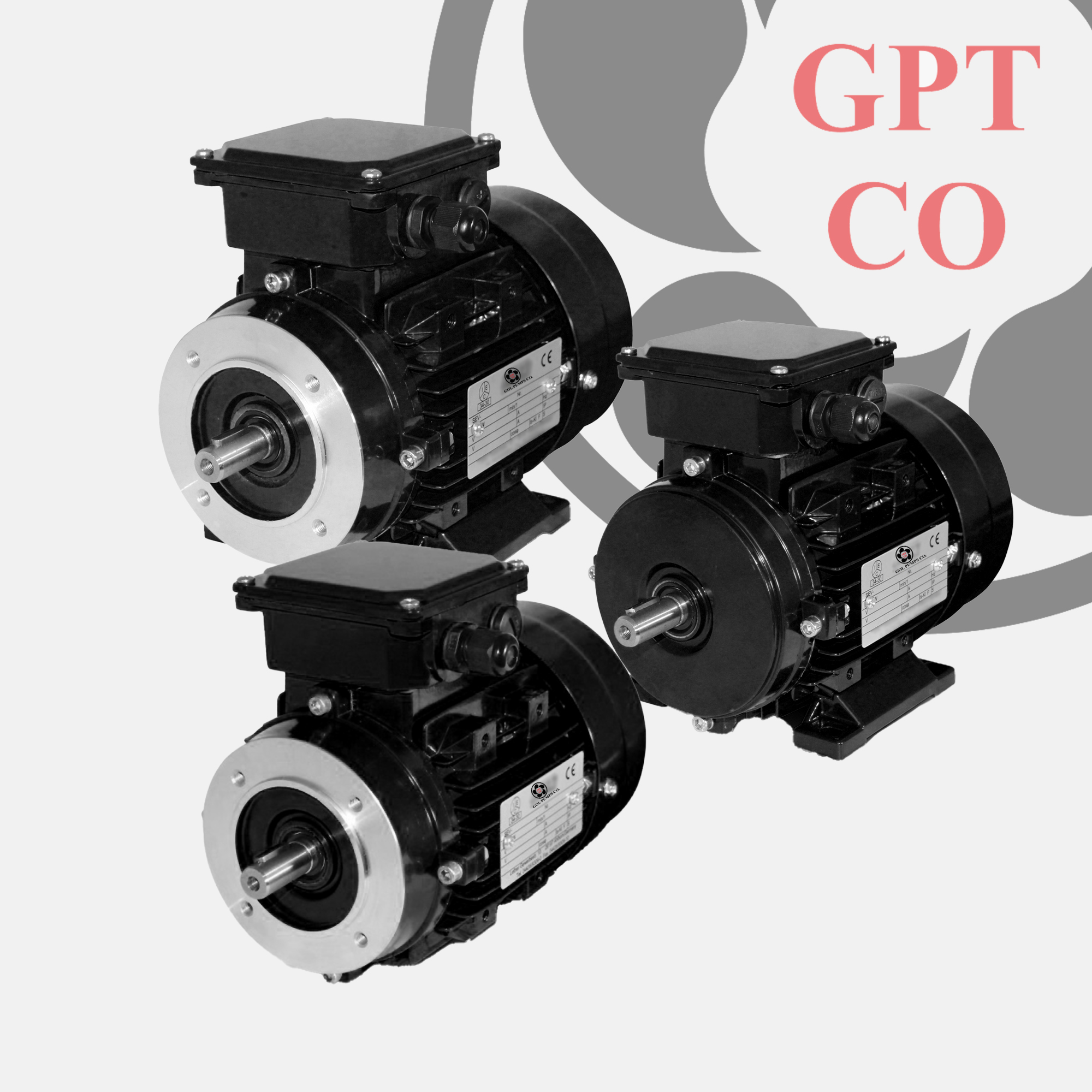 Gol Pumps Motors