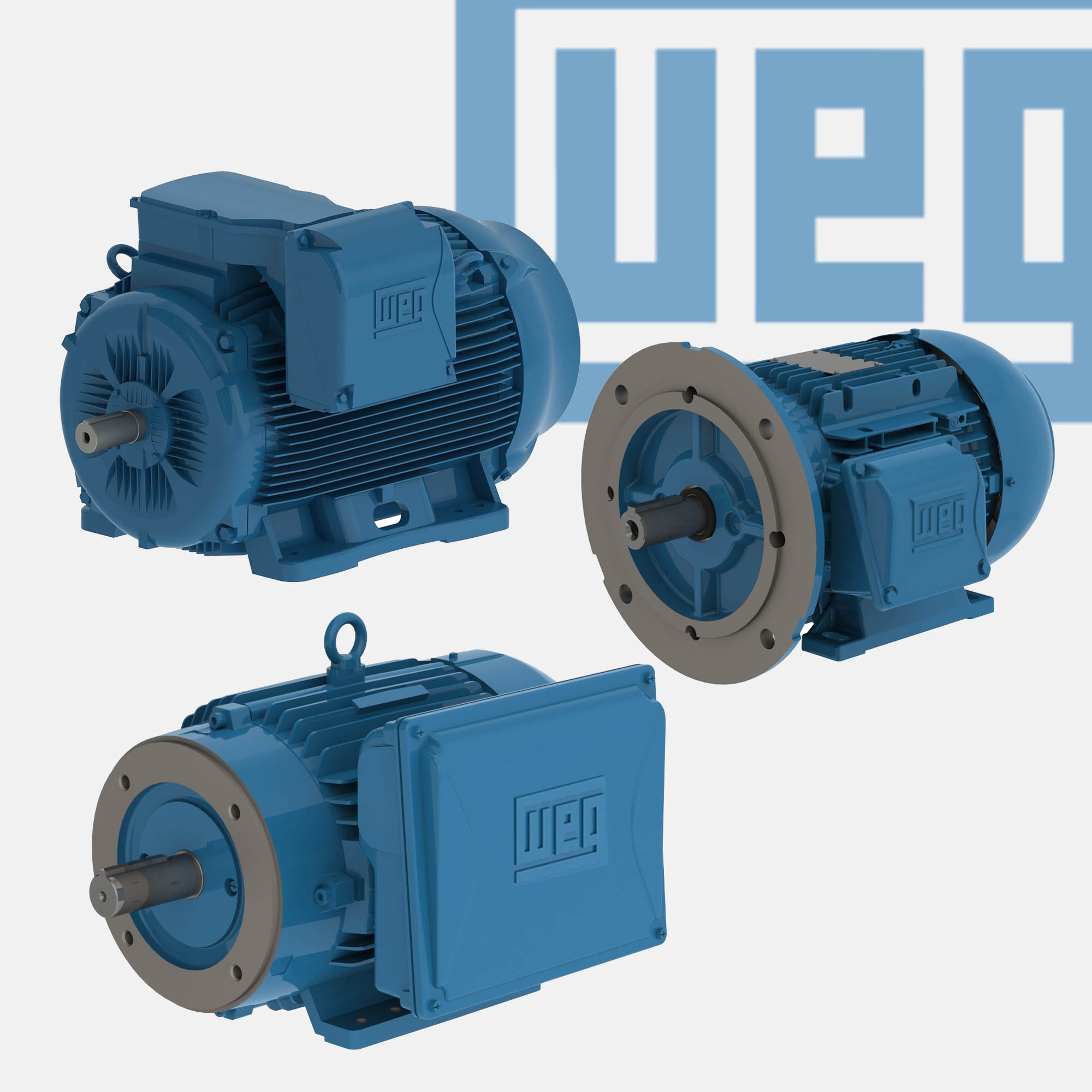 WEG Motors