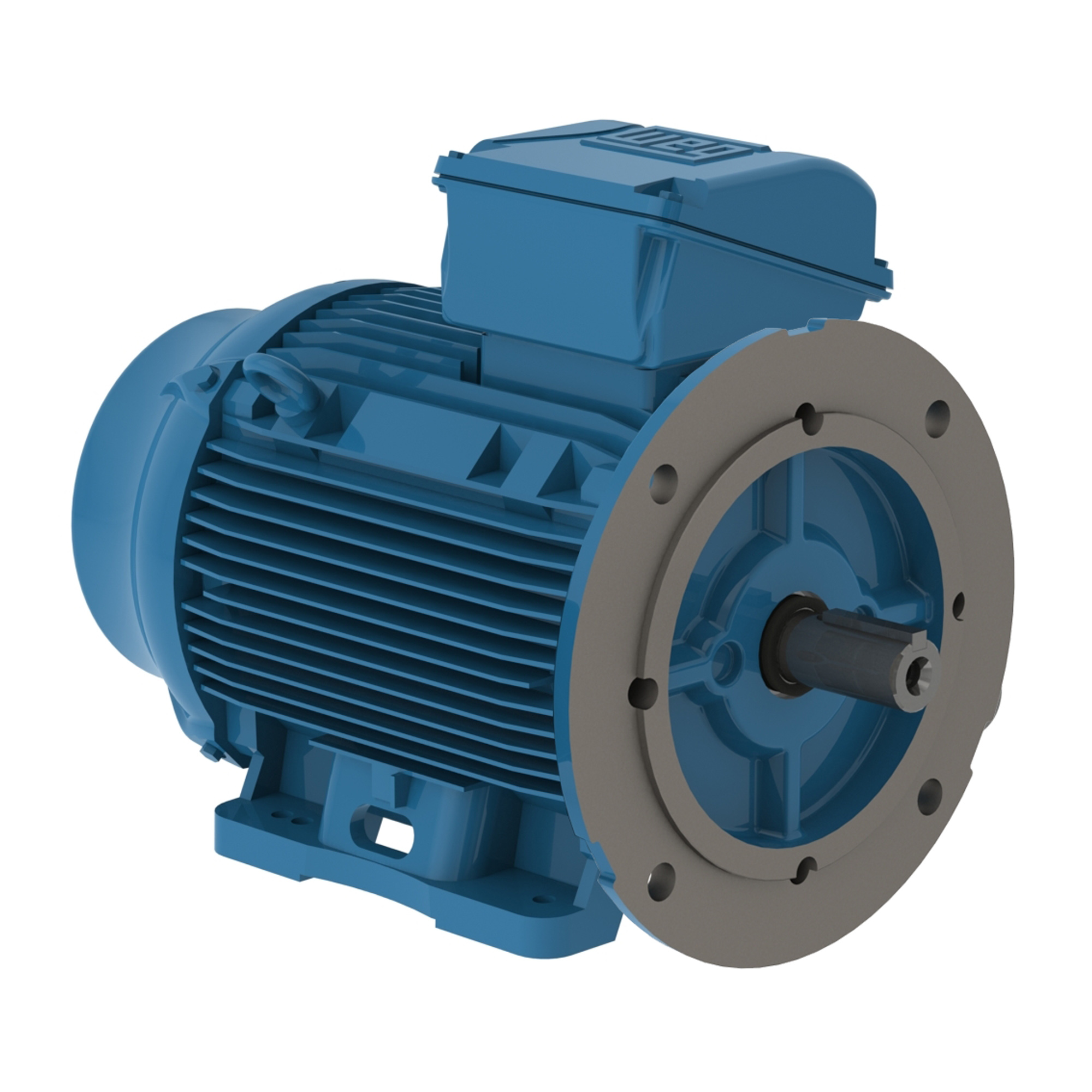 WEG IEC Motor B35