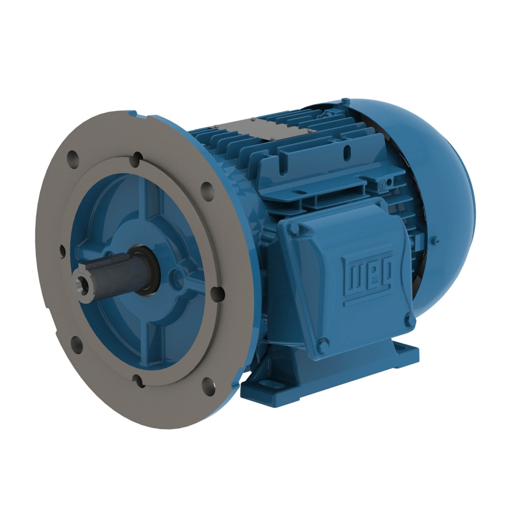 WEG IEC Motor