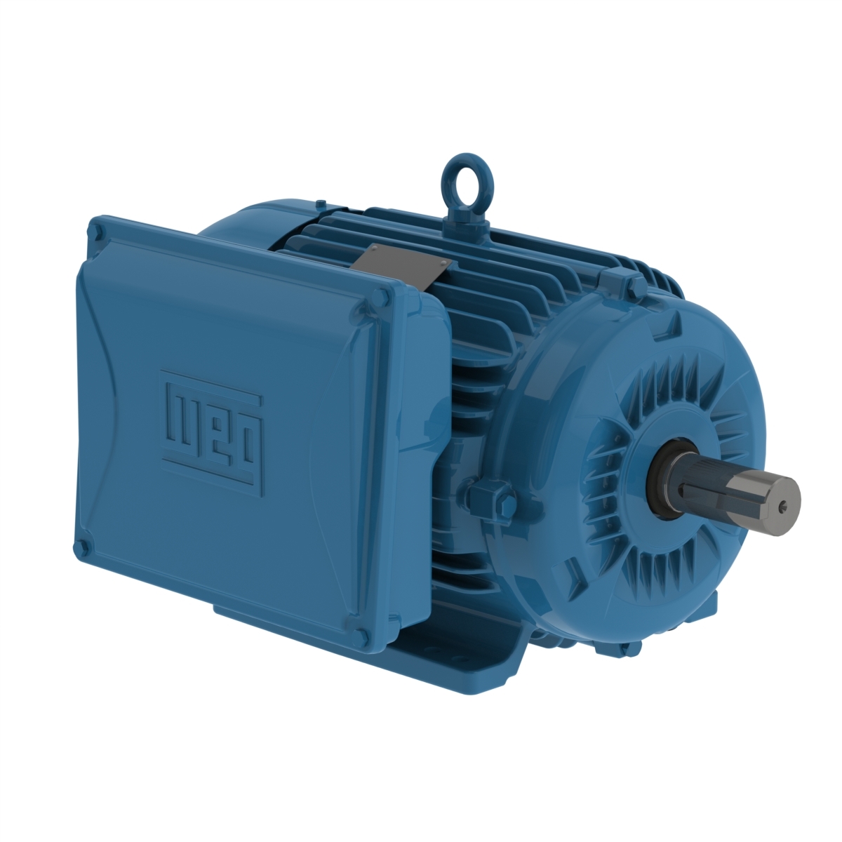 WEG Motor W22