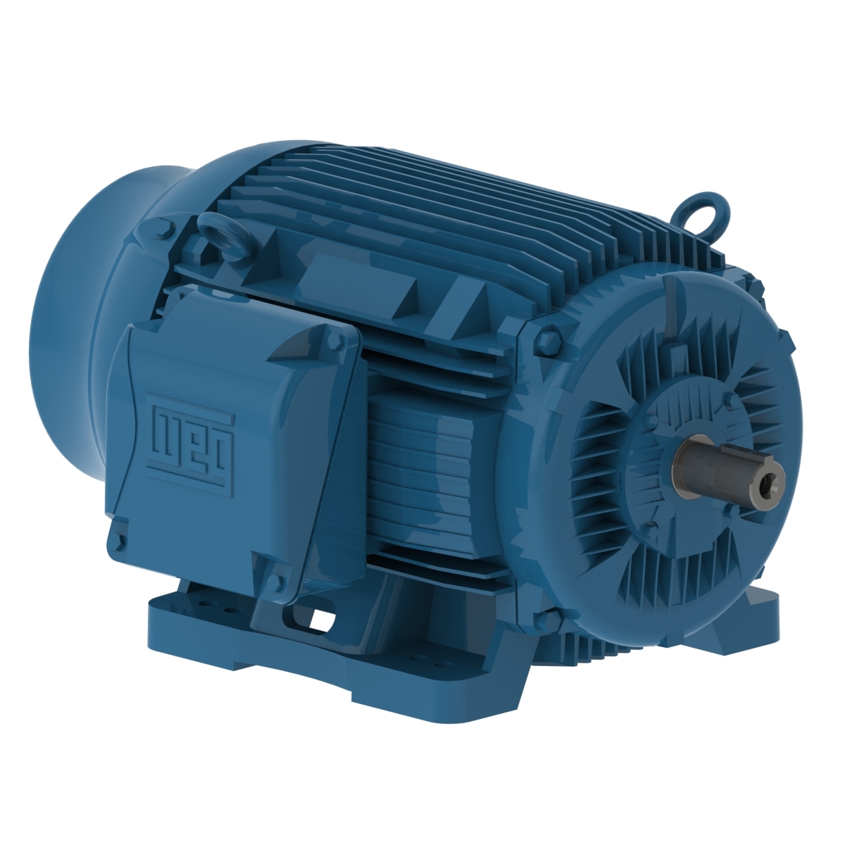 WEG NEMA Motor W22_1