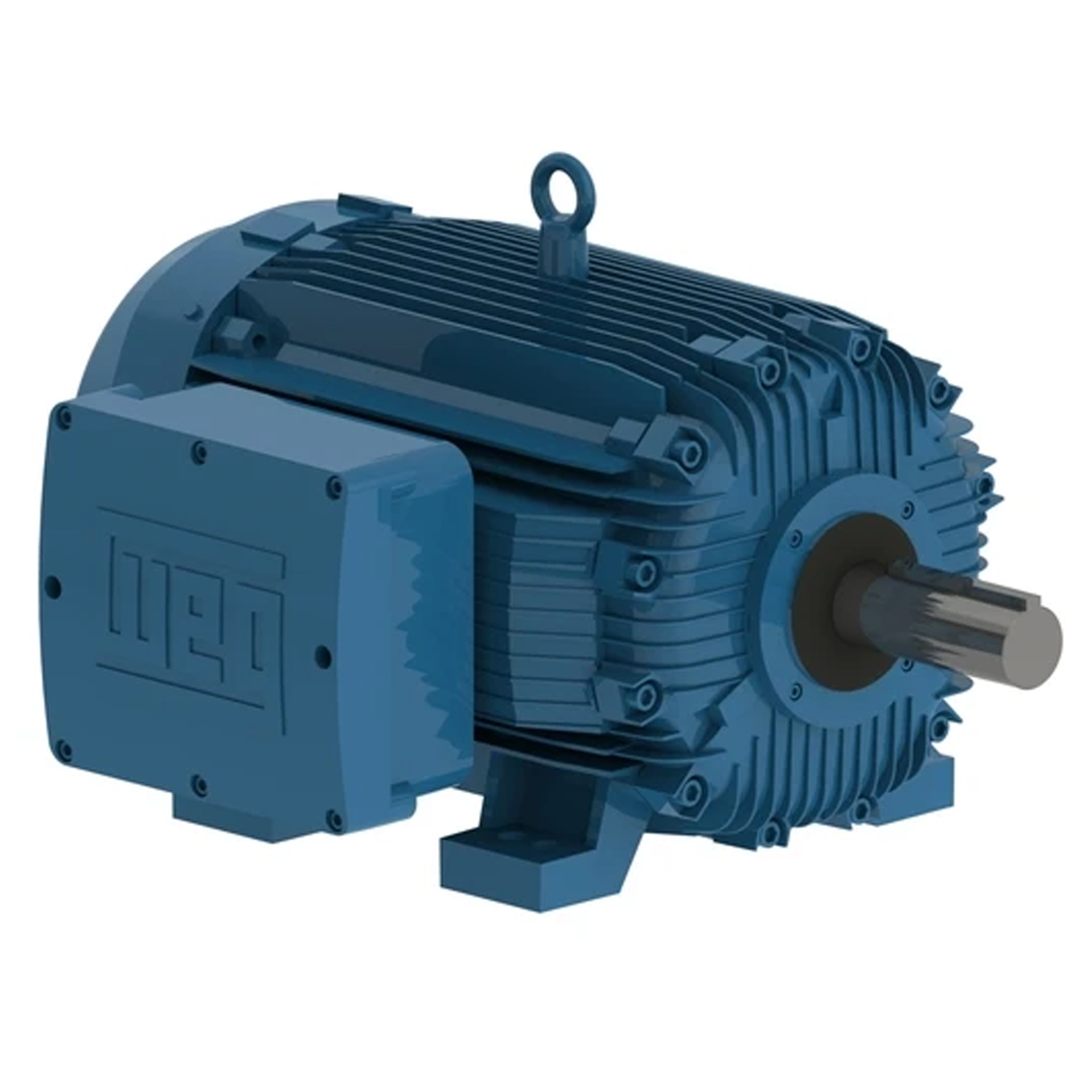 WEG W21 Explosion-proof Motor NEMA
