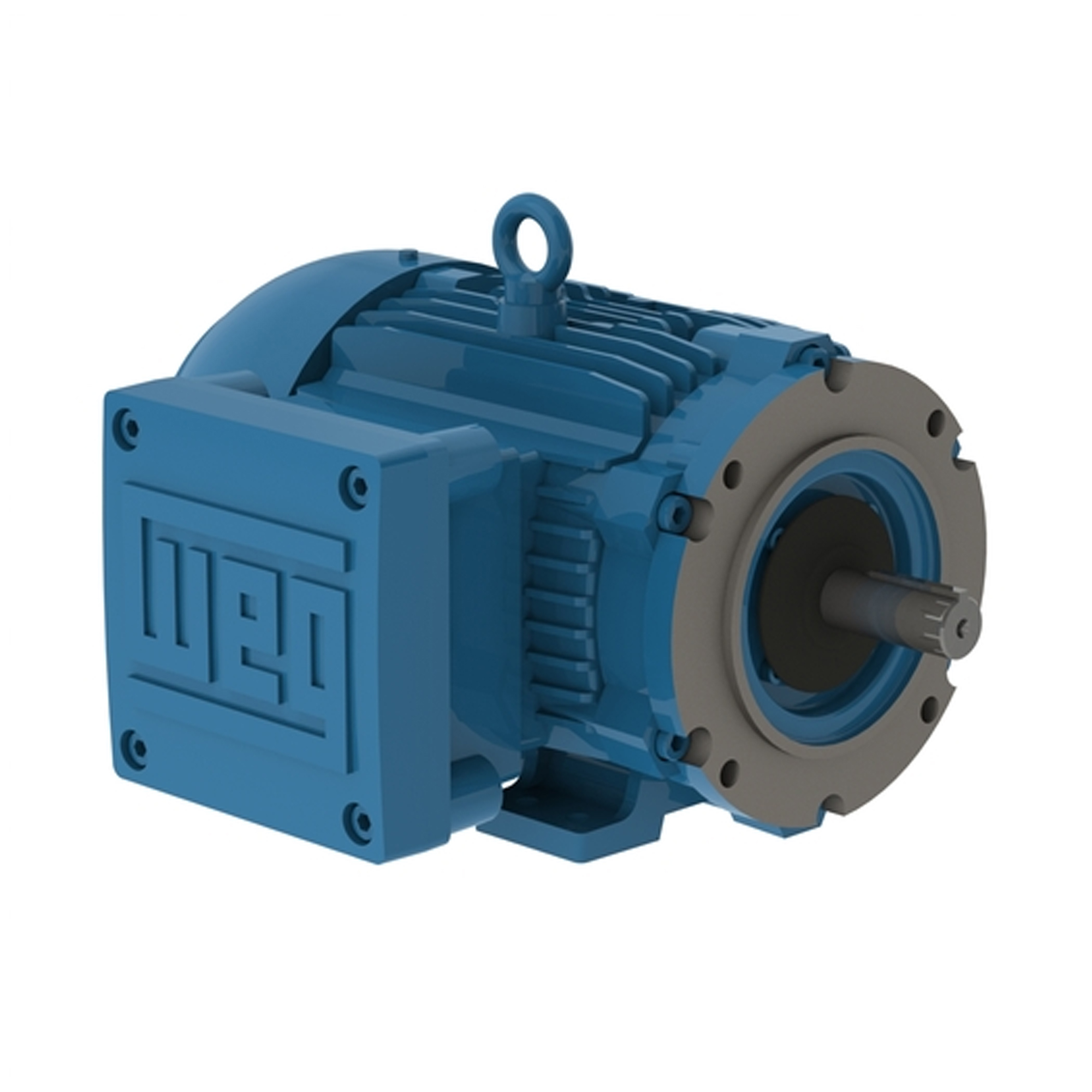 WEG W21 Explosion-proof Motor NEMA_1
