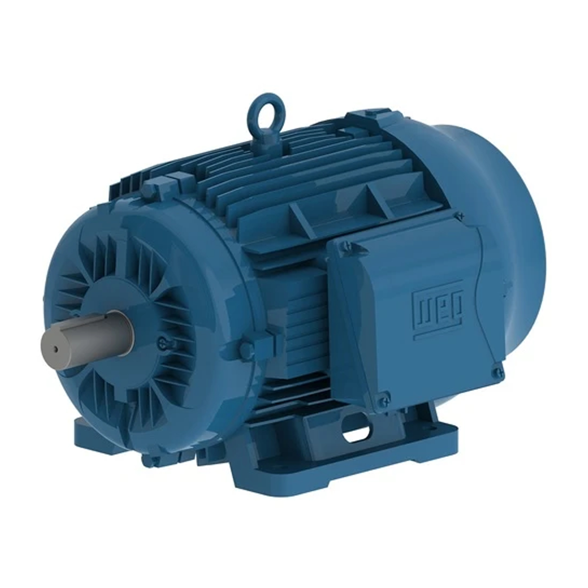 WEG W22 Tru-Metric IE3 Motor